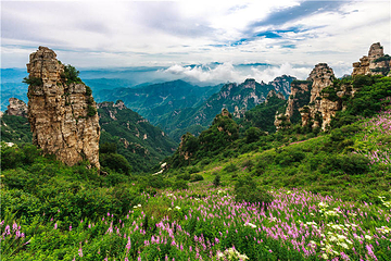 白石山世界地质公园第 89 张图片