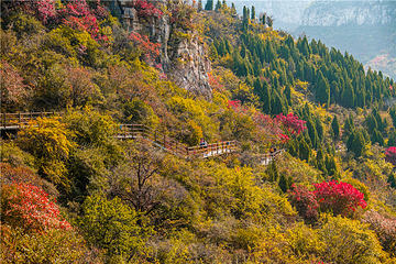 青铜山大峡谷第 123 张图片