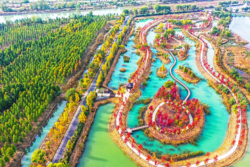 泗洪洪泽湖湿地景区第 11 张图片