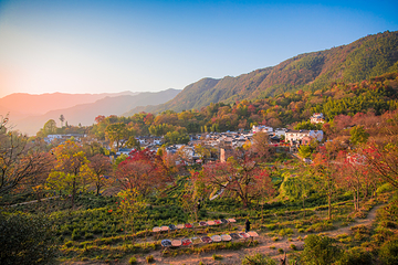 塔川第 10 张图片