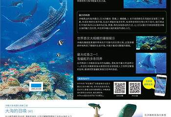 冲绳美丽海水族馆第 7 张图片