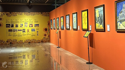 【西安】《潮幻星空·梵高巨幕光影大展》展览第 6 张图片