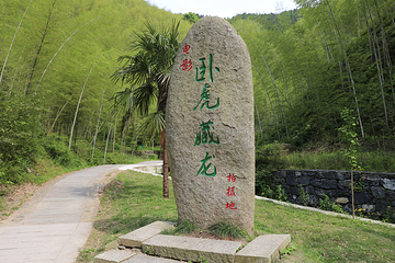 木坑竹海第 5 张图片