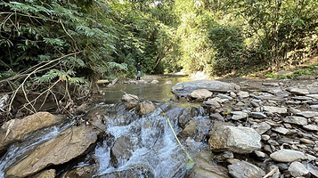 基诺山龙帕轻奢雨林徒步