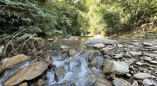 基诺山龙帕轻奢雨林徒步