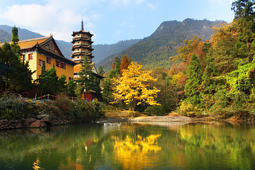 天目山自然保护区第 9 张图片