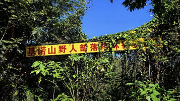 基诺山野人部落雨林徒步