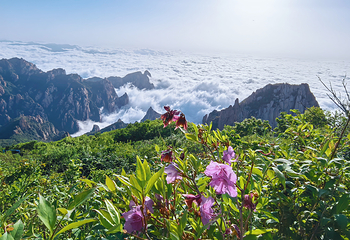 祖山风景区第 85 张图片