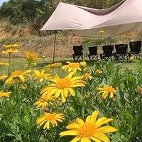 官寨龙溪谷景区