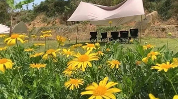 官寨龙溪谷景区