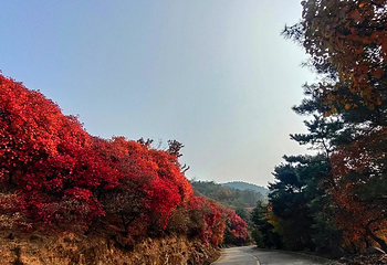 鲁山国家森林公园第 33 张图片