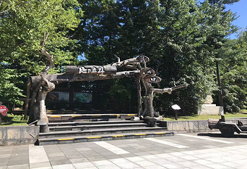 火山口国家森林公园第 13 张图片