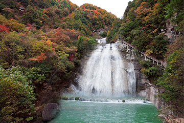 光雾山旅游景区第 110 张图片