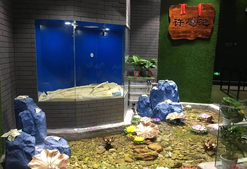 蛇文化展览馆第 11 张图片