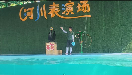 雄安辛玛森林动物乐园第 11 张图片