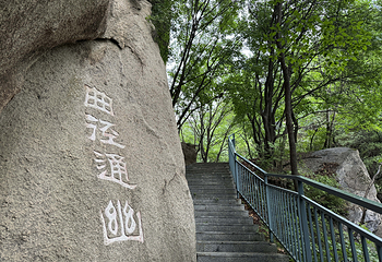 兴隆六里坪国家森林公园第 77 张图片