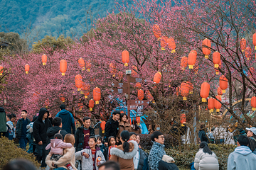 葛仙村度假区第 37 张图片