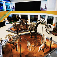 刘家峡恐龙国家地质公园