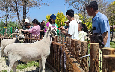 鑫诚田园生态旅游区第 31 张图片