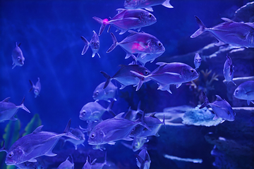深圳恒远海立方环游城第 24 张图片