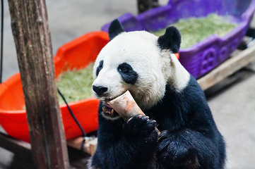光合谷旅游度假区第 45 张图片