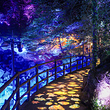 武功山·福山幻夜