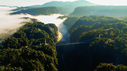 碧峰峡景区第 95 张图片