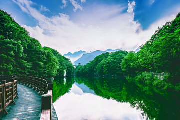 洛阳白云山风景区第 42 张图片