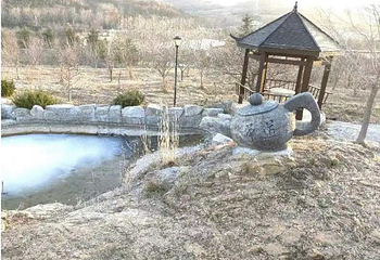 山泰生态园滑雪场第 11 张图片