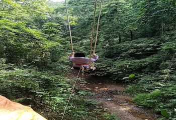 基诺山巴朵幽谷雨林徒步第 9 张图片