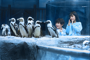 上海长风海洋世界