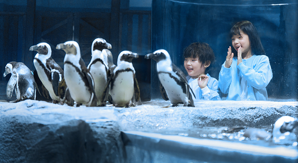 上海长风海洋世界