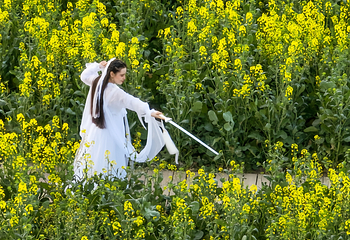 蔡甸消泗油菜花第 7 张图片