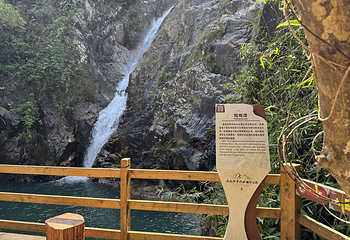 霸王岭第 39 张图片