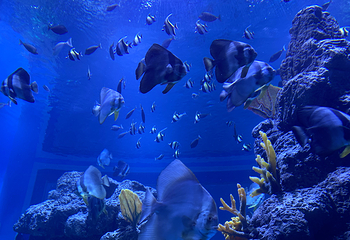 襄阳海洋世界第 30 张图片