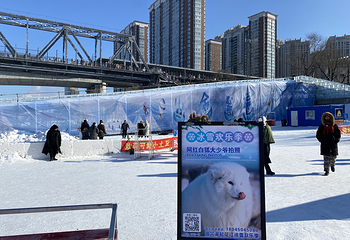 马迭尔嘉年华冰镜王国(斯大林街店)第 13 张图片