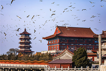八仙过海景区第 10 张图片