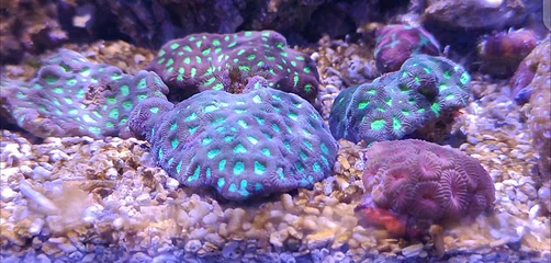 昭通海洋大世界第 12 张图片