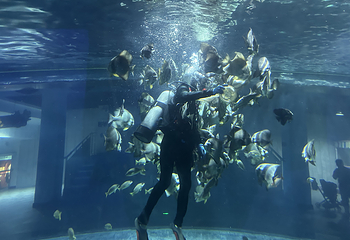 海洋大世界第 19 张图片