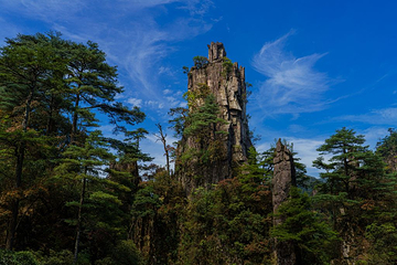 莽山旅游区国家森林公园第 48 张图片