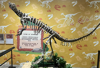 恐龙来了(禄丰龙全国巡展·重庆站)第 13 张图片