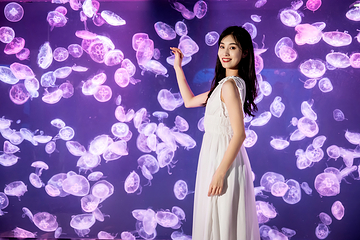 老虎滩海洋公园第 25 张图片