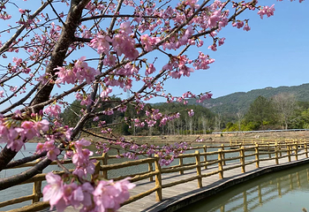 云峰山·狮子寨生态旅游景区第 3 张图片
