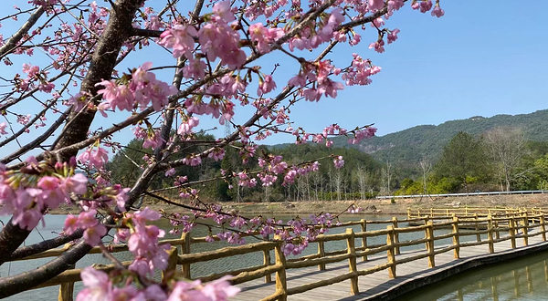 云峰山生态旅游区