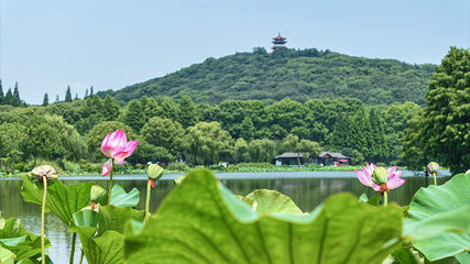 无锡市太湖鼋头渚风景区第 140 张图片