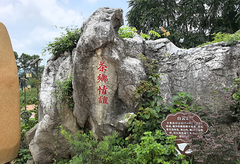 茶趣园第 44 张图片