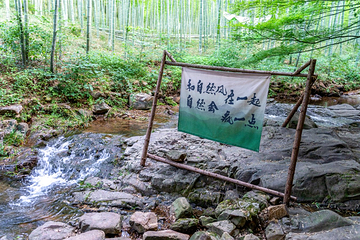 天目湖南山竹海第 127 张图片