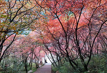 郑国渠旅游风景区第 6 张图片