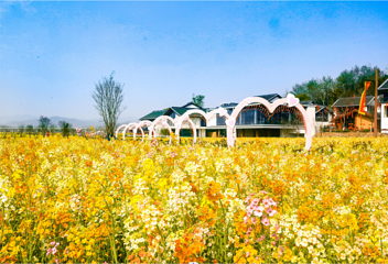 高岭文化村第 7 张图片