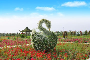 海南花梨谷文化旅游区第 31 张图片